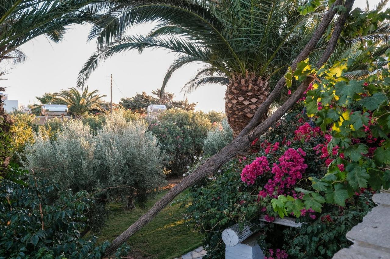 Golden Beach Studios & Suites Tinos Exterior photo